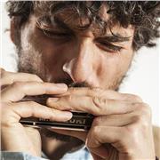 Clases de armónica diatónica y cromática